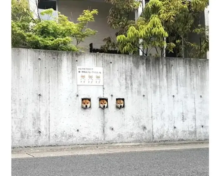 일본의 개구멍 3형제.jpg